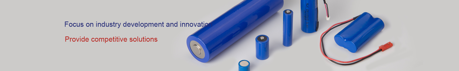 RFID, active electronic label battery